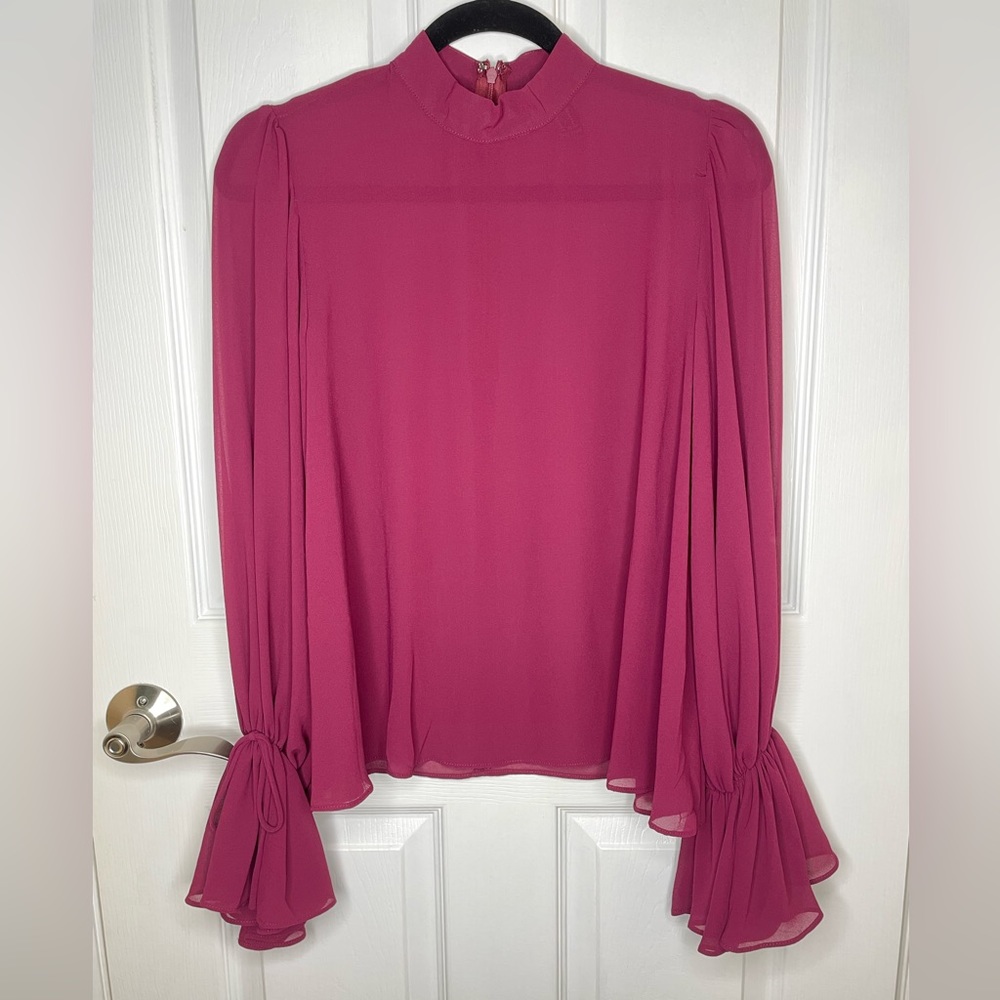 Sheer Fuschia Long Sleeve Top
